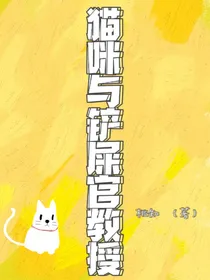 猫咪与铲屎官教授