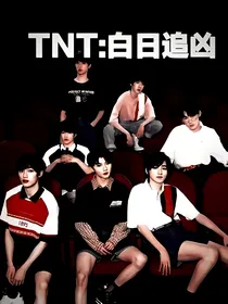 TNT：黑白追凶