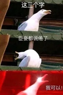 不更了这一本（原名笙囍湘漓