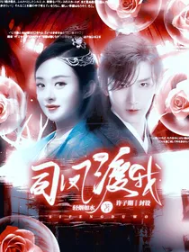 司凤，渡我