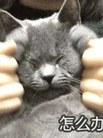 穿越之开局极限拉扯