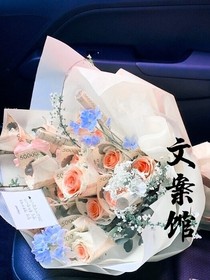 君晓桃文案馆