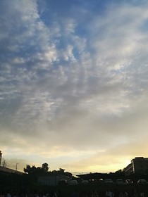 满分100