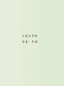 今夜风华好