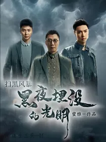 扫黑风暴：黑夜埋没的光明