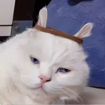 拯救女配攻略