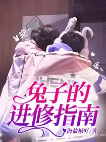 兔子的进修指南