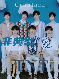 TNT：非典型团宠