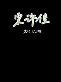 宋许佳