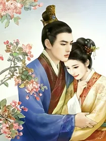 本娘娘不做妾之皇上接招已是两宝娘亲