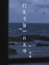 行走于每一片是非