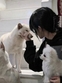 爱情之暗恋