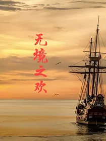 无境之欢