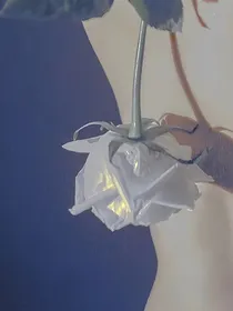 各种小语录