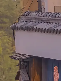 仙界有个小酒馆