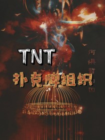 TNT：扑克牌组织
