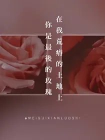 扫黑风暴之光与暗