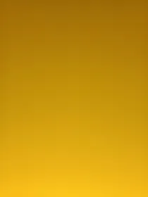阴阳神陨
