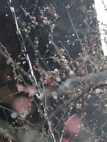 喂！想死别带着我