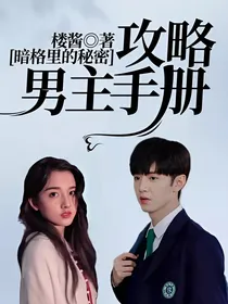 暗格里的秘密：攻略男主手册