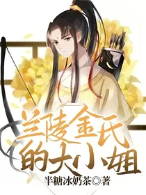 兰陵金氏的大小姐