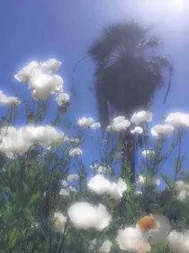 TNT：师姐快把我带走