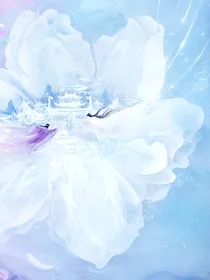 香蜜之双姝