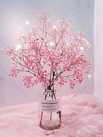 王爷戏子