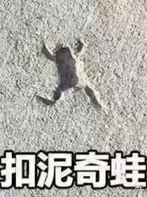 扣泥奇蛙2