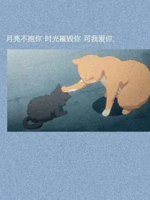 望初遇……