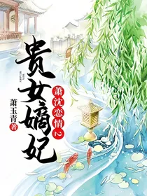 萧沈恋情2：贵女嫡妃