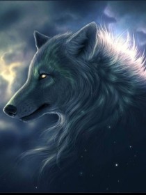 狼狼穿越奥特动物世界世界