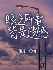 眼之所看皆是遗憾