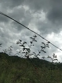 致郁小故事