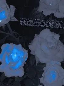 他是我的例外