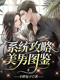 系统攻略：美男图鉴