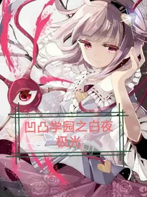 凹凸学园之白夜极光