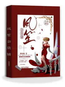 凤笙杂货铺