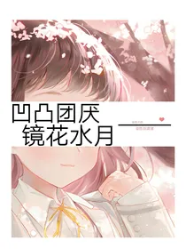 凹凸团厌：镜花水月