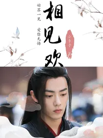 陈情令之相见欢-d833