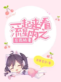 流星雨之总裁娇妻