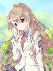 星星美图集