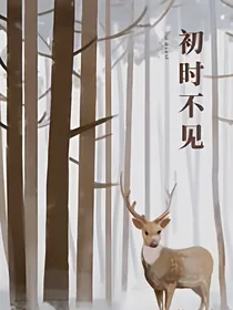 初时不见