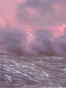 追星族专属