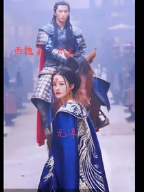 楚乔传：西魏第一公主元淳
