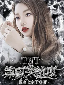 TNT：第二类维度