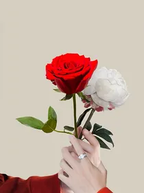 肖战王一博——重逢不落幕