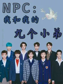 NPC：我和我的九个小弟