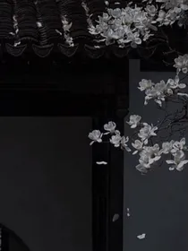 宋雨琦：无关风月