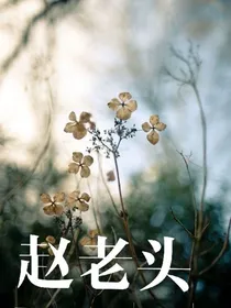 赵老头